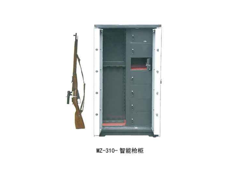 MZ-310-���ܘ���